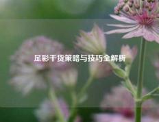 足彩干货策略与技巧全解析