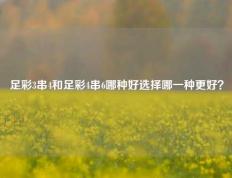 足彩3串4和足彩4串6哪种好选择哪一种更好？