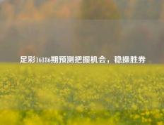足彩16186期预测把握机会，稳操胜券