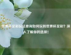 世界杯足彩玩法查询如何玩转世界杯足彩？深入了解你的选择！