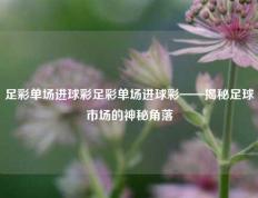 足彩单场进球彩足彩单场进球彩——揭秘足球市场的神秘角落