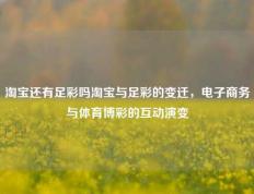淘宝还有足彩吗淘宝与足彩的变迁，电子商务与体育博彩的互动演变