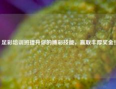 足彩培训班提升你的博彩技能，赢取丰厚奖金！