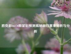 胜负彩16170期足彩预测揭秘明日赛事解析与分析