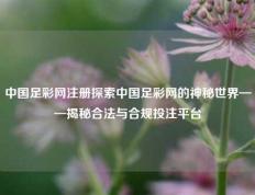 中国足彩网注册探索中国足彩网的神秘世界——揭秘合法与合规投注平台