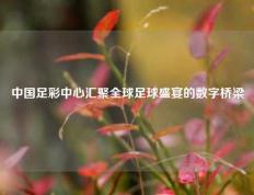 中国足彩中心汇聚全球足球盛宴的数字桥梁