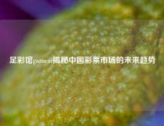 足彩馆gozucai揭秘中国彩票市场的未来趋势