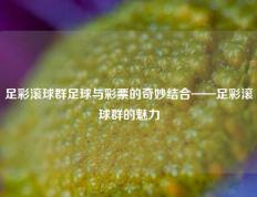 足彩滚球群足球与彩票的奇妙结合——足彩滚球群的魅力