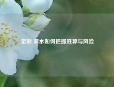 足彩 满水如何把握胜算与风险