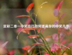 足彩二串一中奖技巧如何提高你的中奖几率