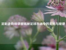 足彩走势规律图揭秘足球市场中的玄机与规律