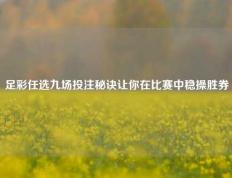 足彩任选九场投注秘诀让你在比赛中稳操胜券