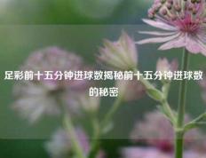 足彩前十五分钟进球数揭秘前十五分钟进球数的秘密