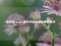 足彩馆 magnet激发球迷热情的幕后推手