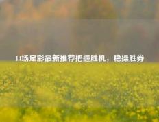 14场足彩最新推荐把握胜机，稳操胜券