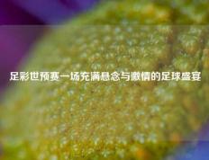 足彩世预赛一场充满悬念与激情的足球盛宴