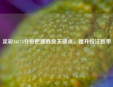足彩16174分析把握胜负关键点，提升投注胜率
