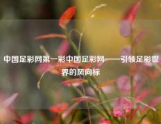 中国足彩网第一彩中国足彩网——引领足彩世界的风向标