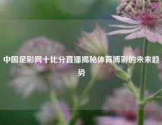 中国足彩网十比分直播揭秘体育博彩的未来趋势