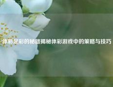 体彩足彩的秘籍揭秘体彩游戏中的策略与技巧