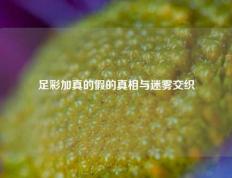足彩加真的假的真相与迷雾交织