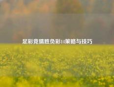 足彩竞猜胜负彩14策略与技巧