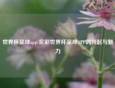 世界杯足球app 足彩世界杯足球APP的兴起与魅力