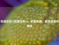 竞猜足彩14竞猜足彩14，把握机遇，赢得财富的博弈