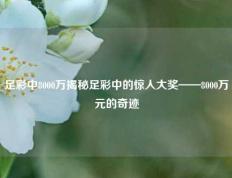 足彩中8000万揭秘足彩中的惊人大奖——8000万元的奇迹