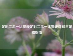 足彩二串一比赛表足彩二串一比赛表详解与策略指南