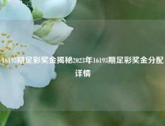 16193期足彩奖金揭秘2023年16193期足彩奖金分配详情