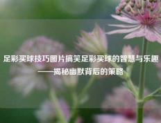 足彩买球技巧图片搞笑足彩买球的智慧与乐趣——揭秘幽默背后的策略