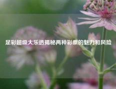 足彩超级大乐透揭秘两种彩票的魅力和风险