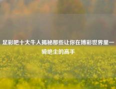 足彩吧十大牛人揭秘那些让你在博彩世界里一骑绝尘的高手