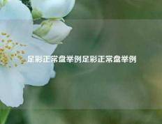 足彩正常盘举例足彩正常盘举例