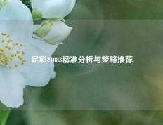 足彩21083精准分析与策略推荐