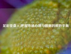 足彩亚盘-0.5把握市场心理与数据的微妙平衡