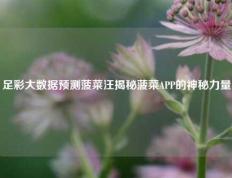 足彩大数据预测菠菜汪揭秘菠菜APP的神秘力量