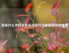 足彩什么书好足彩实战技巧与策略的书籍推荐