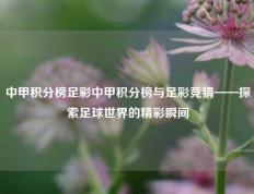 中甲积分榜足彩中甲积分榜与足彩竞猜——探索足球世界的精彩瞬间