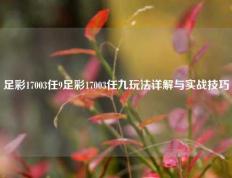 足彩17003任9足彩17003任九玩法详解与实战技巧