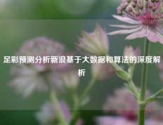 足彩预测分析新浪基于大数据和算法的深度解析