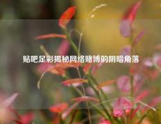 贴吧足彩揭秘网络赌博的阴暗角落