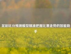 足彩比分预测模型精准把握比赛走势的智能助手
