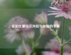 足彩比赛投注风险与收益的平衡