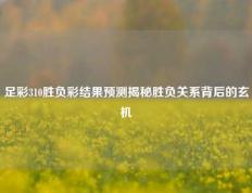 足彩310胜负彩结果预测揭秘胜负关系背后的玄机