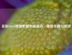 足彩16165预测把握市场波动，享受乐趣与挑战