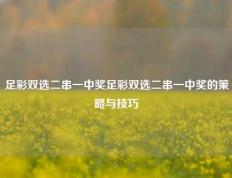 足彩双选二串一中奖足彩双选二串一中奖的策略与技巧