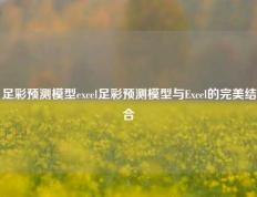 足彩预测模型excel足彩预测模型与Excel的完美结合