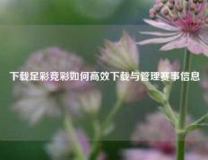 下载足彩竞彩如何高效下载与管理赛事信息